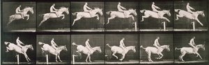 Homme et cheval sautant une clôture, planche 643 de 